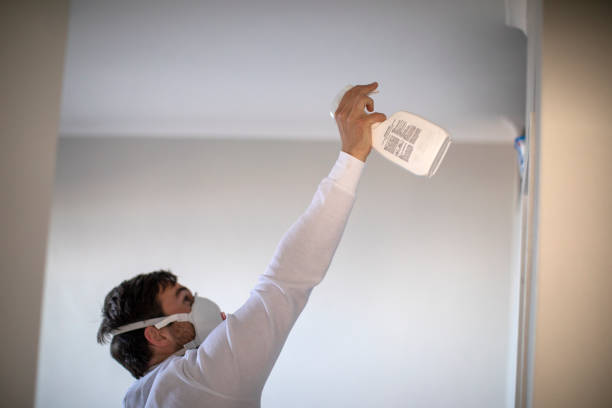 Best Residential Mold Removal  in La Habra Heights, CA