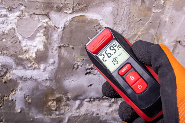 Best Certified Mold Removal  in La Habra Heights, CA