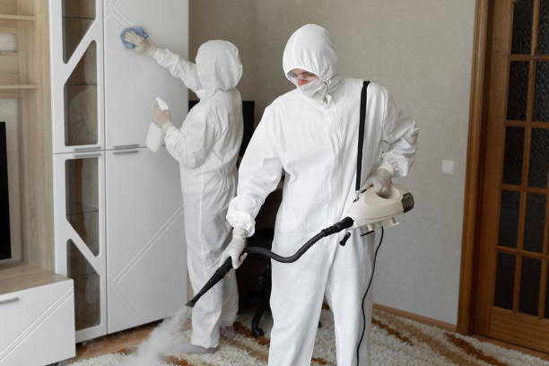Mold Testing and Removal in La Habra Heights, CA